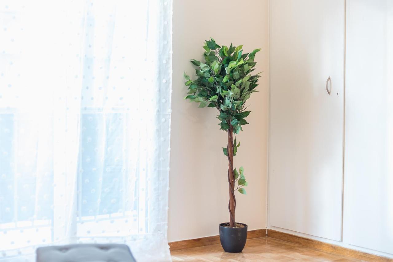 F&k Aphrodite Apartment